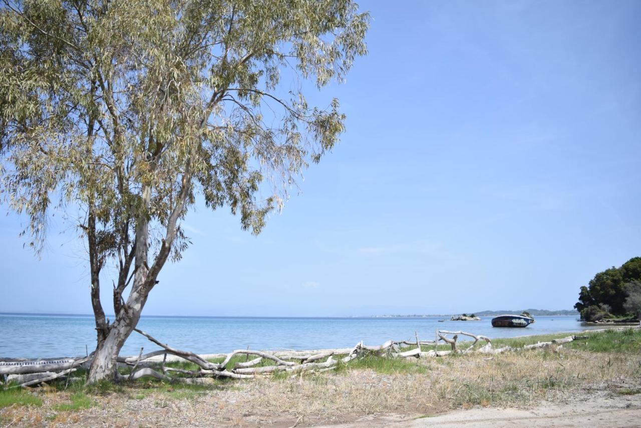 Corfu Seaview Maisonette - Sopra Il Mare Petrití Zewnętrze zdjęcie